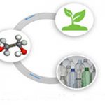 Scientific Design